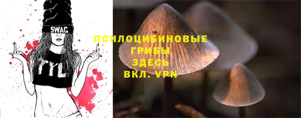 спайс Баксан